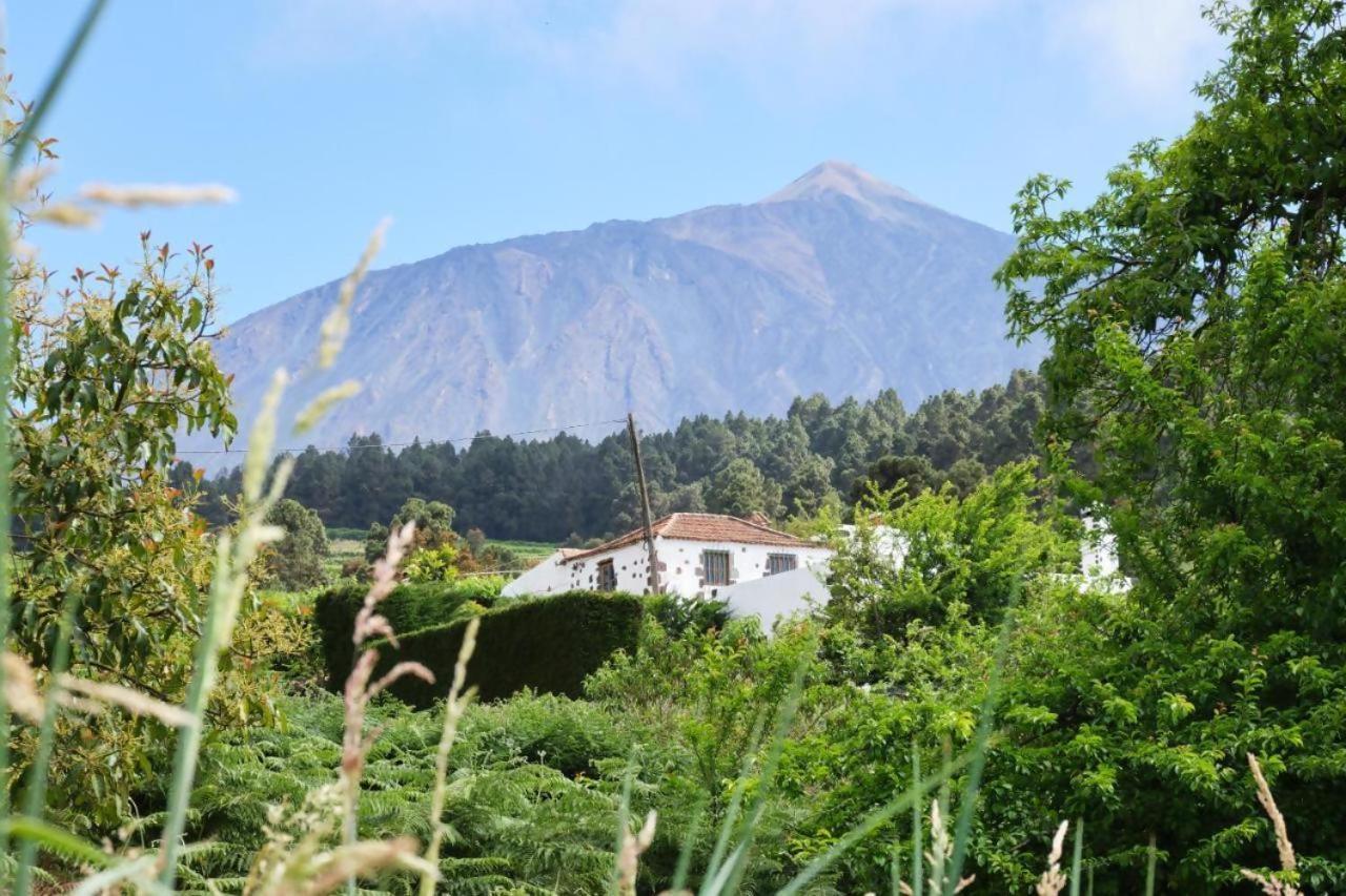 Casa Rural Felipe Luis San Juan de la Rambla エクステリア 写真